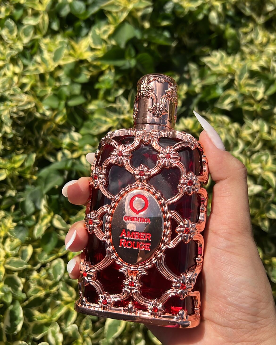 Perfume Árabe Orientica Amber Rouge 100ml