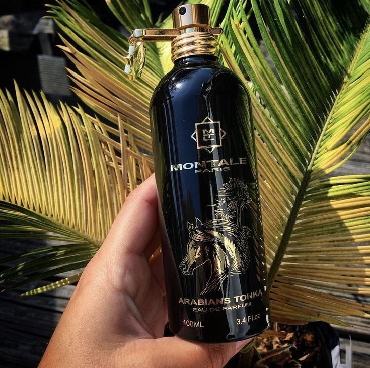 Arabians Tonka by Montale