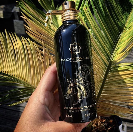Arabians Tonka by Montale